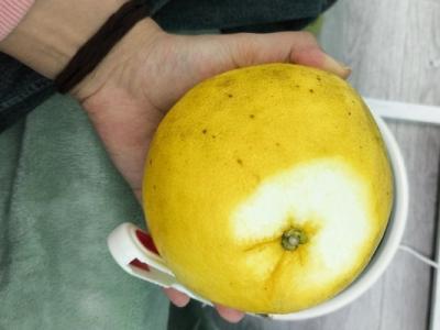 葡萄柚中的檸檬酸如何幫助促進消化