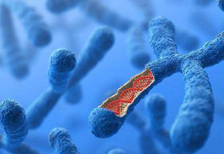 五十五女性如何提高受孕率?高齡產婦備孕前準備有哪些-易網<a href=http://m.logojc.com/ target=_blank class=infotextkey>健康養生</a>網 五十五女性如何提高受孕率?高齡產婦備孕前準備有哪些