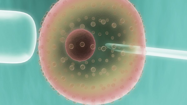 女性卵泡發(fā)育不良怎么辦 應(yīng)對(duì)卵泡異常的4個(gè)方法-易網(wǎng)健康<a href=http://m.logojc.com/jkys/ target=_blank class=infotextkey>養(yǎng)生</a>網(wǎng) 女性卵泡發(fā)育不良怎么辦 應(yīng)對(duì)卵泡異常的4個(gè)方法