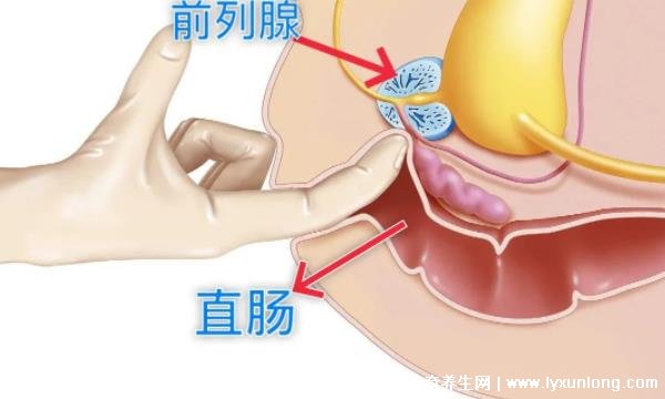 30秒自測前列腺炎,是否出現尿痛/尿頻/尿急(附自測方式)-易網<a href=http://m.logojc.com/ target=_blank class=infotextkey>健康養生</a>網 30秒自測前列腺炎,是否出現尿痛/尿頻/尿急(附自測方式)