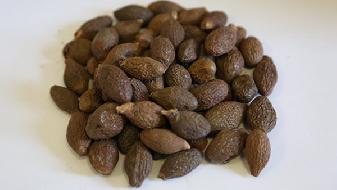 喝醋也能減肥？詳解 喝醋減肥發完整信息