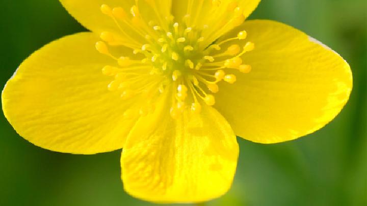 推薦優質美味減肥餐 美味減肥餐讓你把減肥當享受-易網健康養生網 推薦優質美味減肥餐 美味減肥餐讓你把減肥當享受