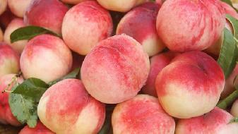 減肥知識 影響食欲的7大原因-易網(wǎng)健康養(yǎng)生網(wǎng) 減肥知識 影響食欲的7大原因