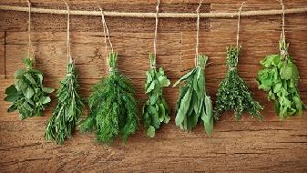 消化不良減肥困難,營養學家給5個建議-易網<a href=http://m.logojc.com/ target=_blank class=infotextkey>健康養生</a>網 消化不良減肥困難,營養學家給5個建議