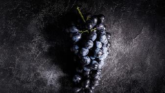 瘦身知識 一定要培養好的飲食習慣