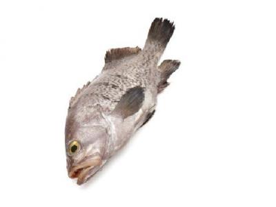 秋季怎么減肥？推薦這四個健康有效減肥的小技巧