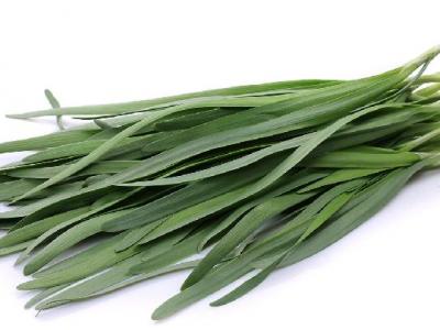 睡覺有減肥效果嗎？肥胖的原因是什么？