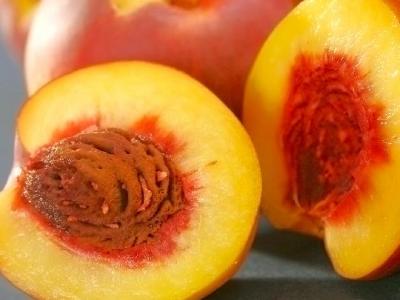 荷葉決明子減肥茶減肥效果好嗎？荷葉決明子減肥茶怎么做？