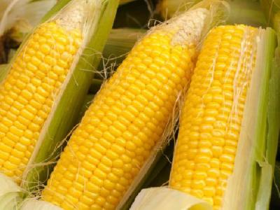 減肥茶有哪些？推薦三款自制中藥減肥茶快速瘦身