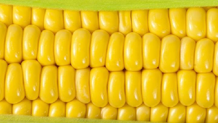 番茄的減肥功效是怎樣的?吃番茄能減肥嗎?-易網健康<a href=http://m.logojc.com/jkys/ target=_blank class=infotextkey>養生</a>網 番茄的減肥功效是怎樣的?吃番茄能減肥嗎?