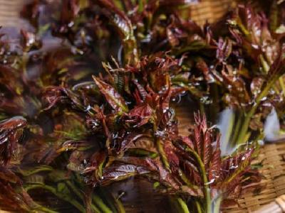 跳繩減肥能瘦哪里呢？跳繩減肥效果怎么樣？