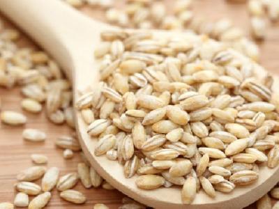 減肥早餐吃什么最好？推薦高蛋白食物幫你瘦