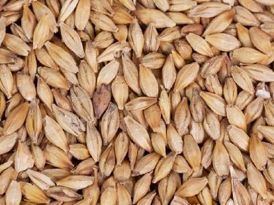 喝減肥咖啡會影響月經嗎？經常喝咖啡有哪些影響？