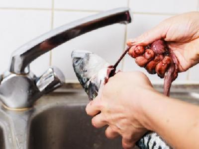 晚上不吃飯吃水果能減肥嗎？減肥三餐如何安排？