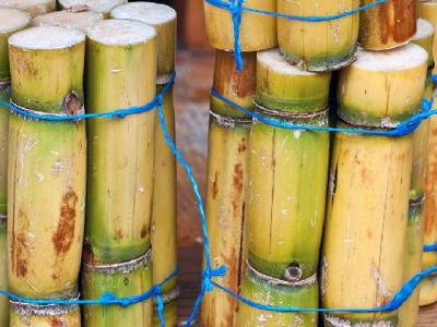 醋蛋液可以減肥嗎?醋蛋液的減肥效果怎么樣?