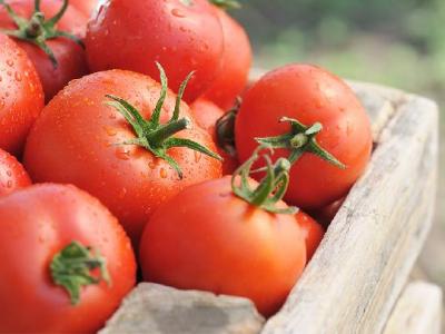 跳繩減肥瘦腿嗎?跳繩減肥的優點有哪些?