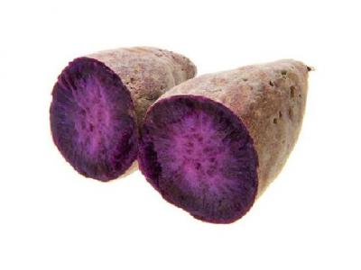 什么運動減肥效果好？推薦這5種適合減肥的運動項目