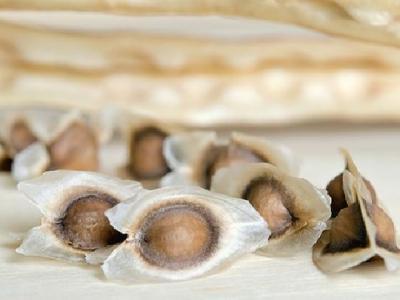 只吃菜不吃米飯能減肥嗎？小心越減越肥