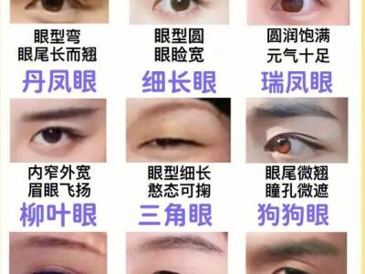 二十種眼形大全圖解，杏眼/狗狗眼/混血眼非常有特點