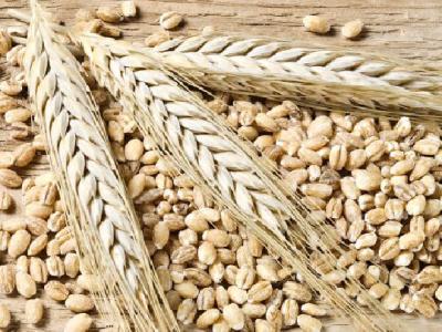 什么運動減肥最有效?運動減肥的方法介紹