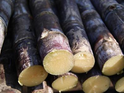 早餐應該吃什么水果來減肥?減肥早餐吃什么?