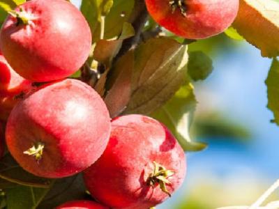 冬季健康減肥方法有哪些？分享這些方法值得收藏！