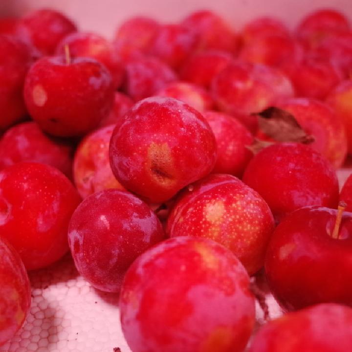 晚上選擇吃水果沙拉可以減肥嗎？吃水果沙拉減肥要注意什么？