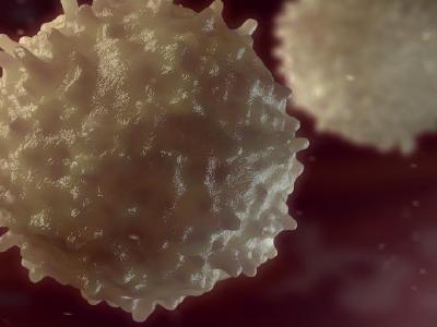 什么時(shí)候跳繩對(duì)減肥最好呢？跳繩減肥的最佳時(shí)間是什么時(shí)候？