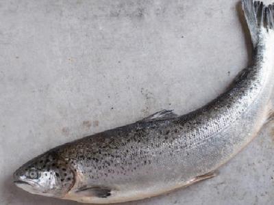 夏季減肥餐吃什么好？夏季減肥食譜推薦