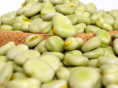 怎樣鍛煉減肥效果最好呢?運動減肥的方法介紹