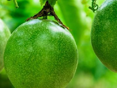 肌肉腿的減肥方法是什么？肌肉腿如何減肥？