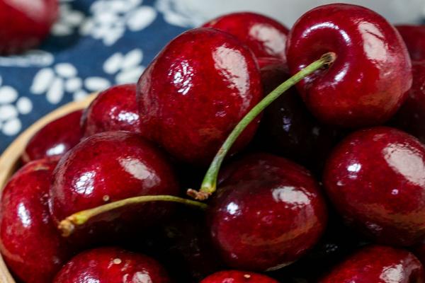 車厘子減肥嗎-易網健康<a href=http://m.logojc.com/jkys/ target=_blank class=infotextkey>養生</a>網 車厘子減肥嗎