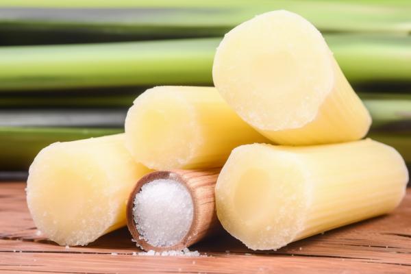 吃甘蔗會不會長胖