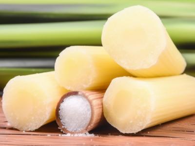 吃甘蔗會不會長胖