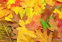 金秋十月 這七種食物千萬別錯過