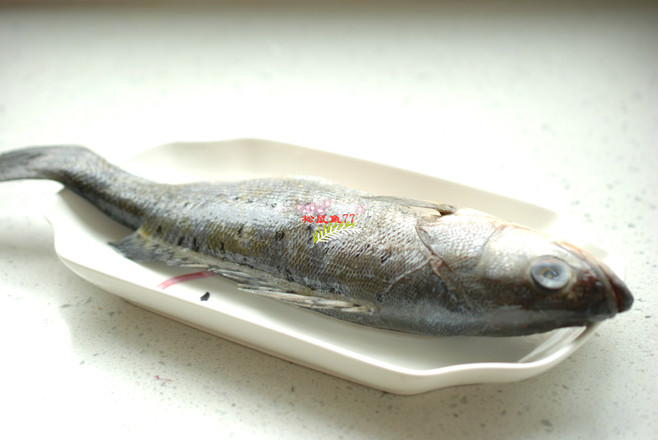 清蒸鱸魚的做法-家常味蒸菜譜