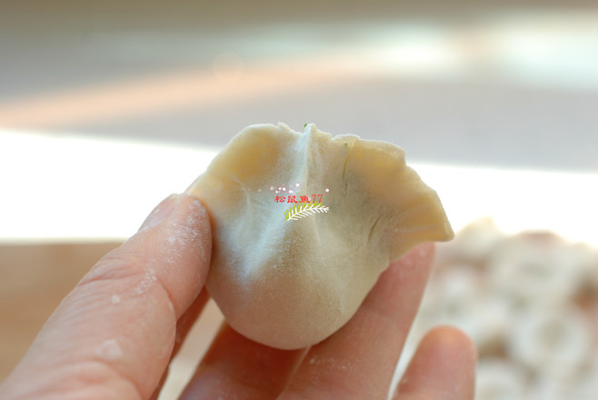 茴香雞蛋素水餃的做法-家常味煮菜譜-易網(wǎng)健康養(yǎng)生網(wǎng) 茴香雞蛋素水餃的做法-家常味煮菜譜