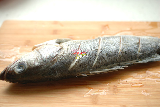 清蒸鱸魚的做法-家常味蒸菜譜