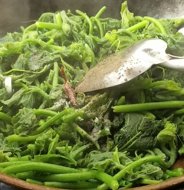 爆炒南瓜尖的做法-咸鮮味炒菜譜-易網健康養生網 爆炒南瓜尖的做法-咸鮮味炒菜譜