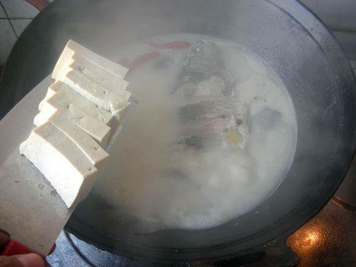 奶白鯽魚豆腐湯的做法-咸鮮味燉菜譜-易網(wǎng)健康養(yǎng)生網(wǎng) 奶白鯽魚豆腐湯的做法-咸鮮味燉菜譜