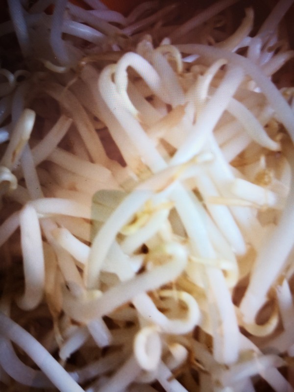 綠豆芽炒蒜苗的做法-家常味炒菜譜