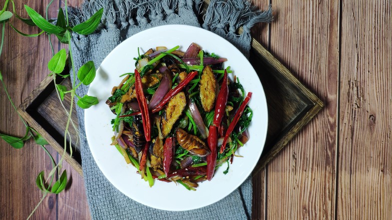 干煸蠶蛹的做法-香辣味炒菜譜-易網健康養生網 干煸蠶蛹的做法-香辣味炒菜譜