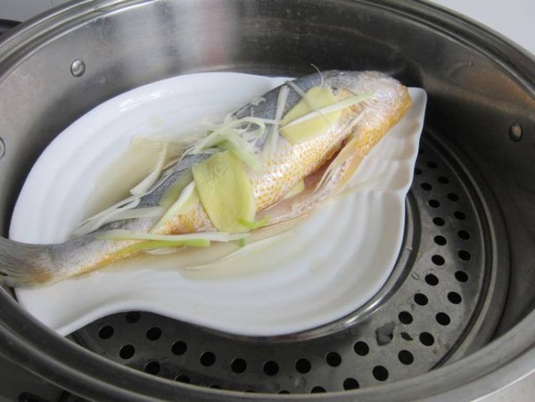 蔥油黃花魚的做法-家常味蒸菜譜-易網健康養生網 蔥油黃花魚的做法-家常味蒸菜譜