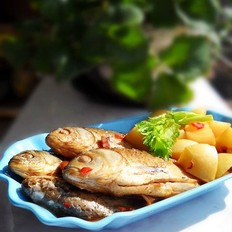 蘿卜燉鯽魚的做法-咸鮮味燉菜譜