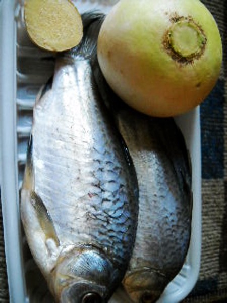 蘿卜燉鯽魚的做法-咸鮮味燉菜譜-易網<a href=http://m.logojc.com/ target=_blank class=infotextkey>健康養生</a>網 蘿卜燉鯽魚的做法-咸鮮味燉菜譜