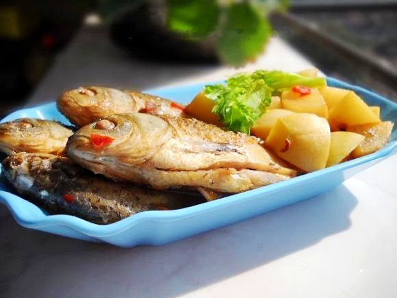 蘿卜燉鯽魚的做法-咸鮮味燉菜譜-易網健康養生網 蘿卜燉鯽魚的做法-咸鮮味燉菜譜