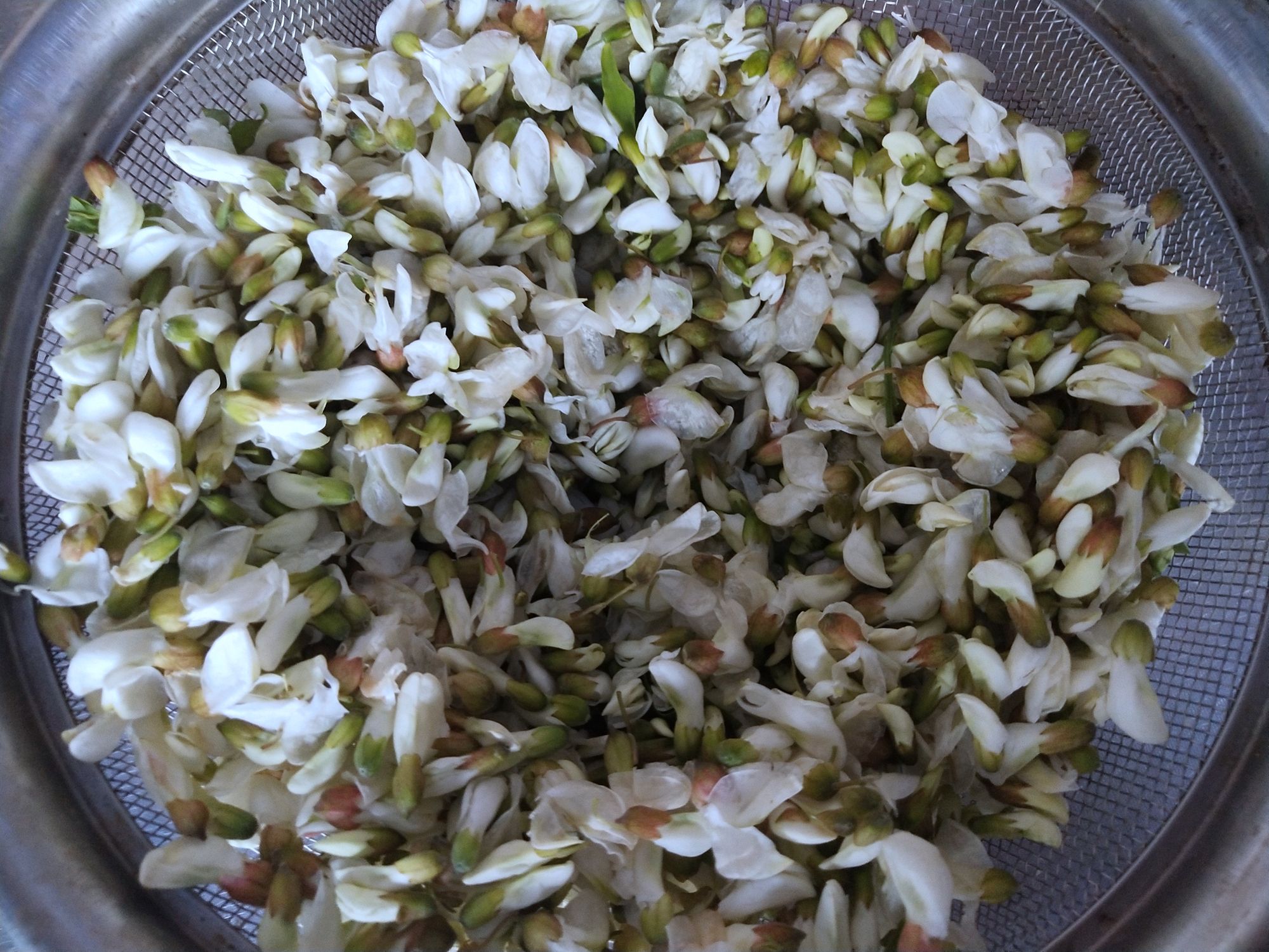 槐花拌豆腐的做法-家常味煮菜譜-易網(wǎng)<a href=http://m.logojc.com/ target=_blank class=infotextkey>健康養(yǎng)生</a>網(wǎng) 槐花拌豆腐的做法-家常味煮菜譜