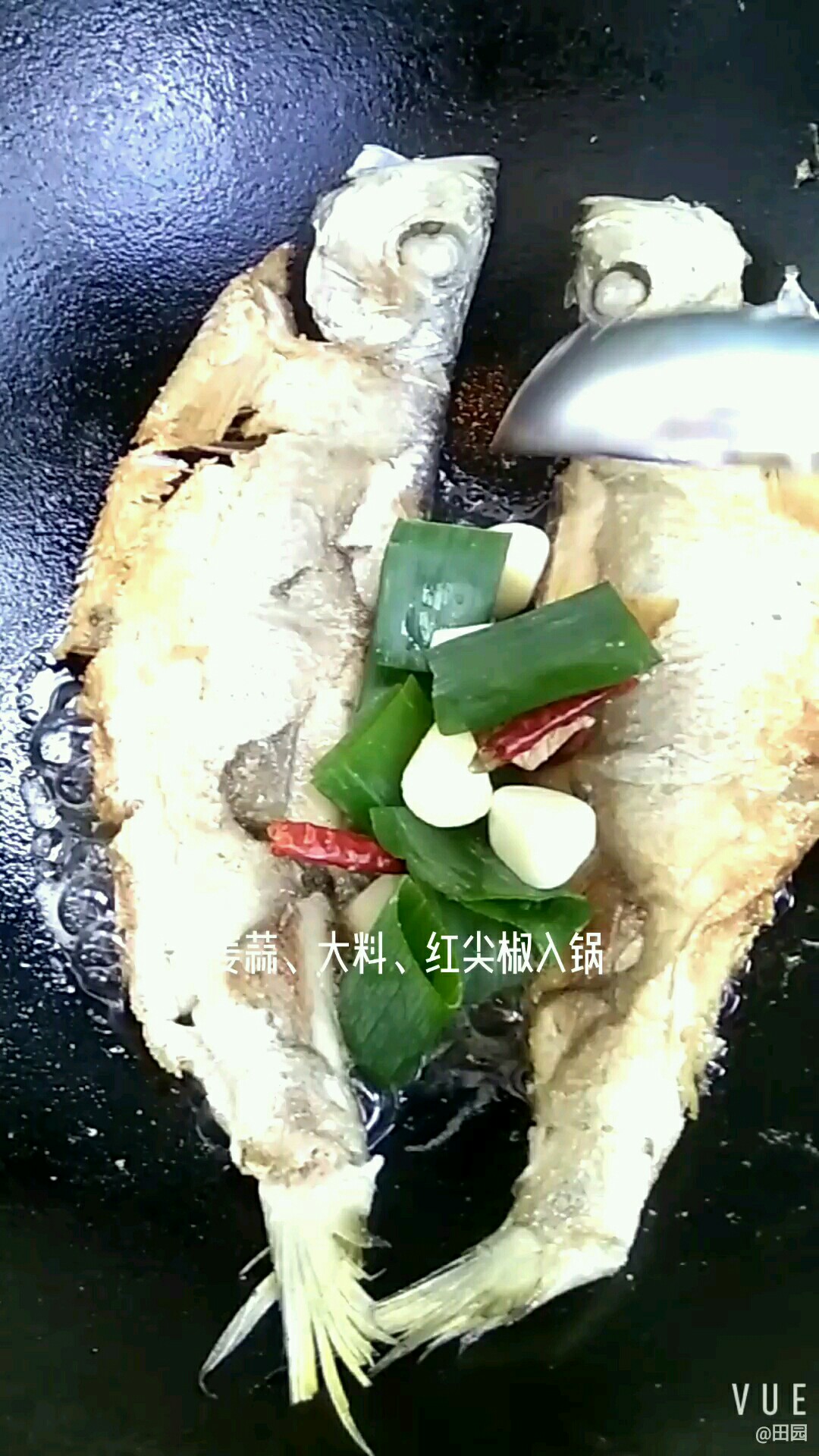 鮮美燒快魚的做法-咸鮮味燒菜譜-易網健康養生網 鮮美燒快魚的做法-咸鮮味燒菜譜