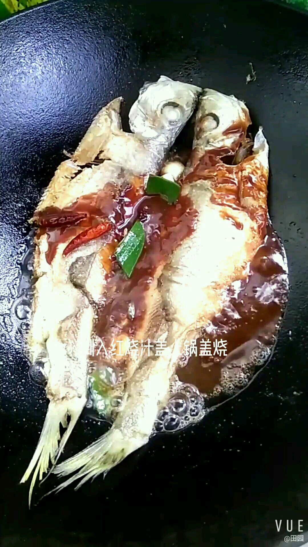 鮮美燒快魚的做法-咸鮮味燒菜譜-易網健康養生網 鮮美燒快魚的做法-咸鮮味燒菜譜