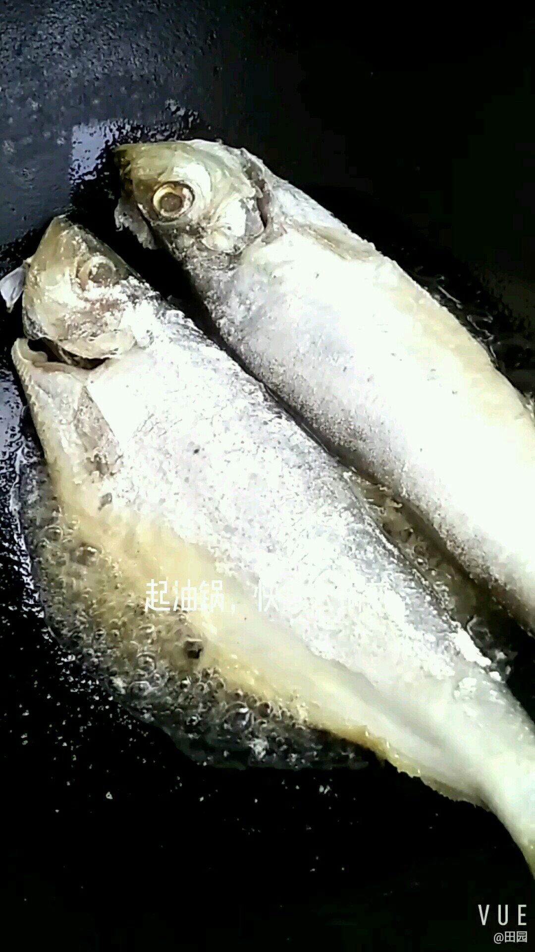 鮮美燒快魚的做法-咸鮮味燒菜譜-易網健康養生網 鮮美燒快魚的做法-咸鮮味燒菜譜